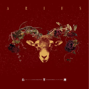 茄子视频苏州晶体红酒美食
